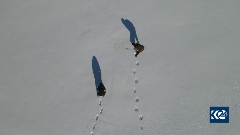 با تامین خوراک برای حیوانات و پرندگان از تلف شدن آنها در فصل سرما جلوگیری می‌شود